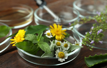 Hudpleje med naturlige ingredienser