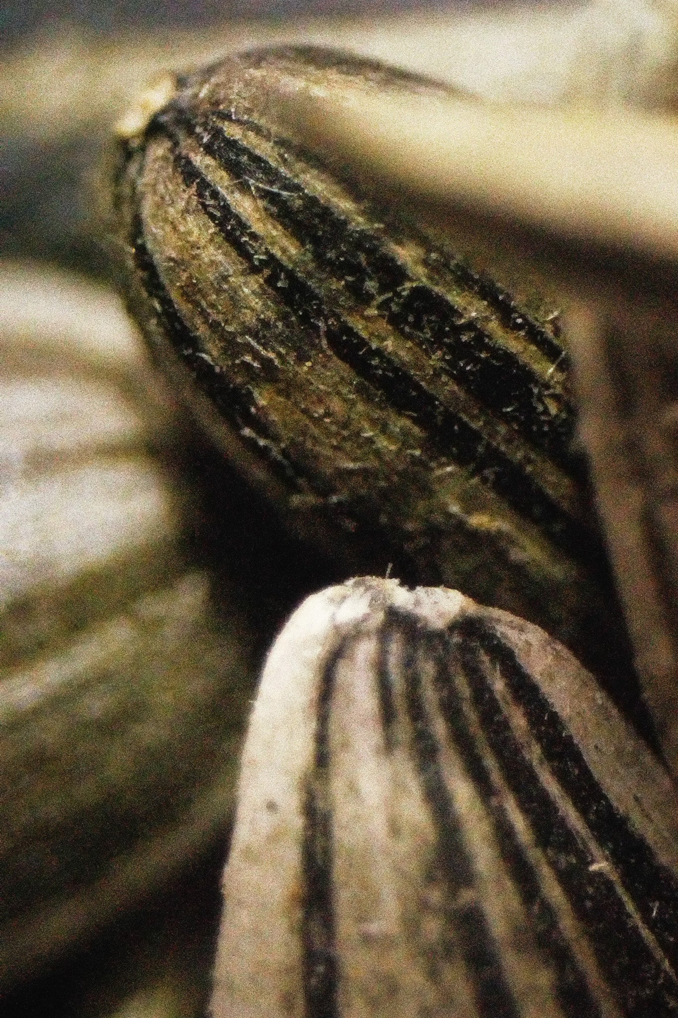 Face Scrub - Crystal Peeling