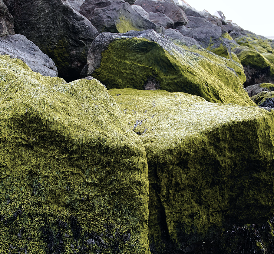 The full body routine